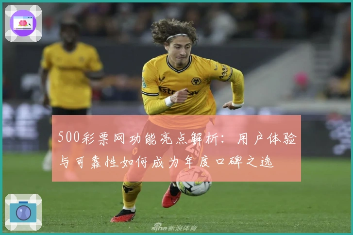 500彩票网功能亮点解析：用户体验与可靠性如何成为年度口碑之选
