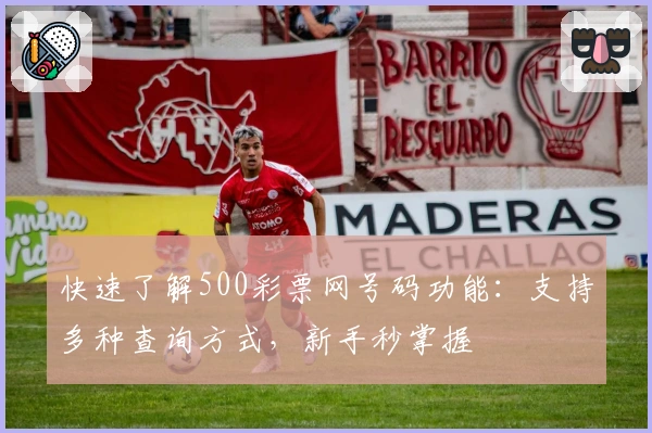快速了解500彩票网号码功能：支持多种查询方式，新手秒掌握