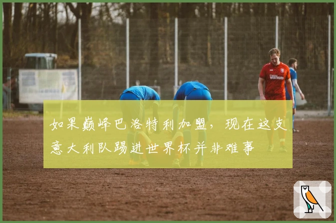 如果巅峰巴洛特利加盟，现在这支意大利队踢进世界杯并非难事