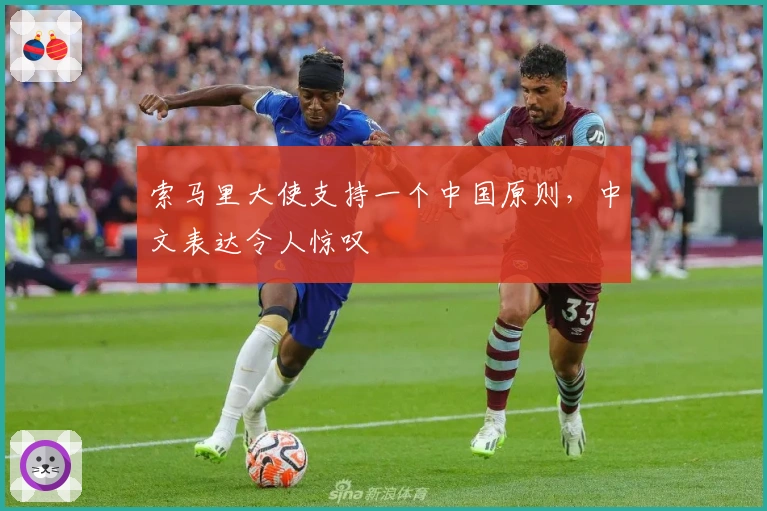 索马里大使支持一个中国原则，中文表达令人惊叹