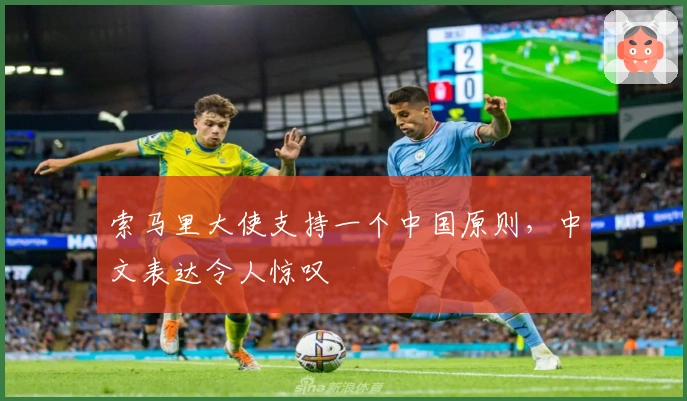 索马里大使支持一个中国原则，中文表达令人惊叹