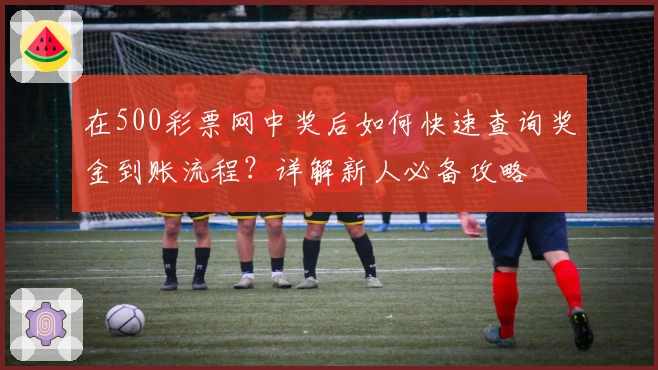 在500彩票网中奖后如何快速查询奖金到账流程？详解新人必备攻略