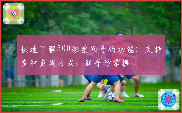 快速了解500彩票网号码功能：支持多种查询方式，新手秒掌握